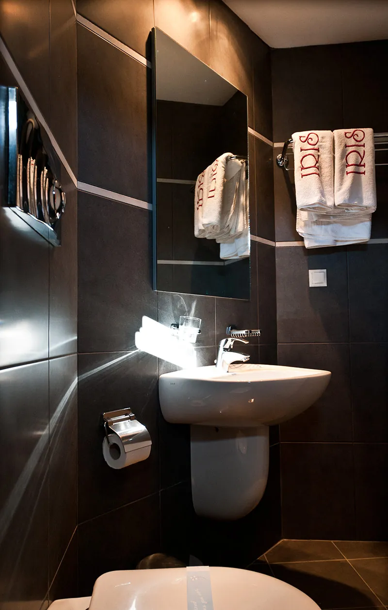 The Economy Room bathroom